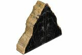 Petrified Wood Bookends - Oregon #111109-2